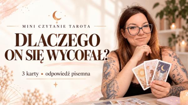 SZYBKI ROZKŁAD - Dlaczego on się wycofał?